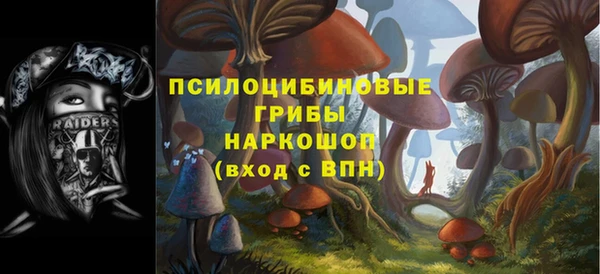 винт Верея